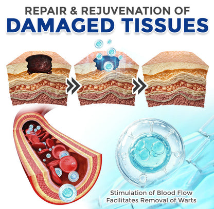 Spermidine Autophagy Comprehensive Cream ✨ (Treats Skin Tags, Warts, Eczema, Pigmentation, Keratosis)